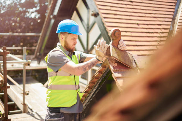 Best Roof Maintenance Services  in Jackpot, NV